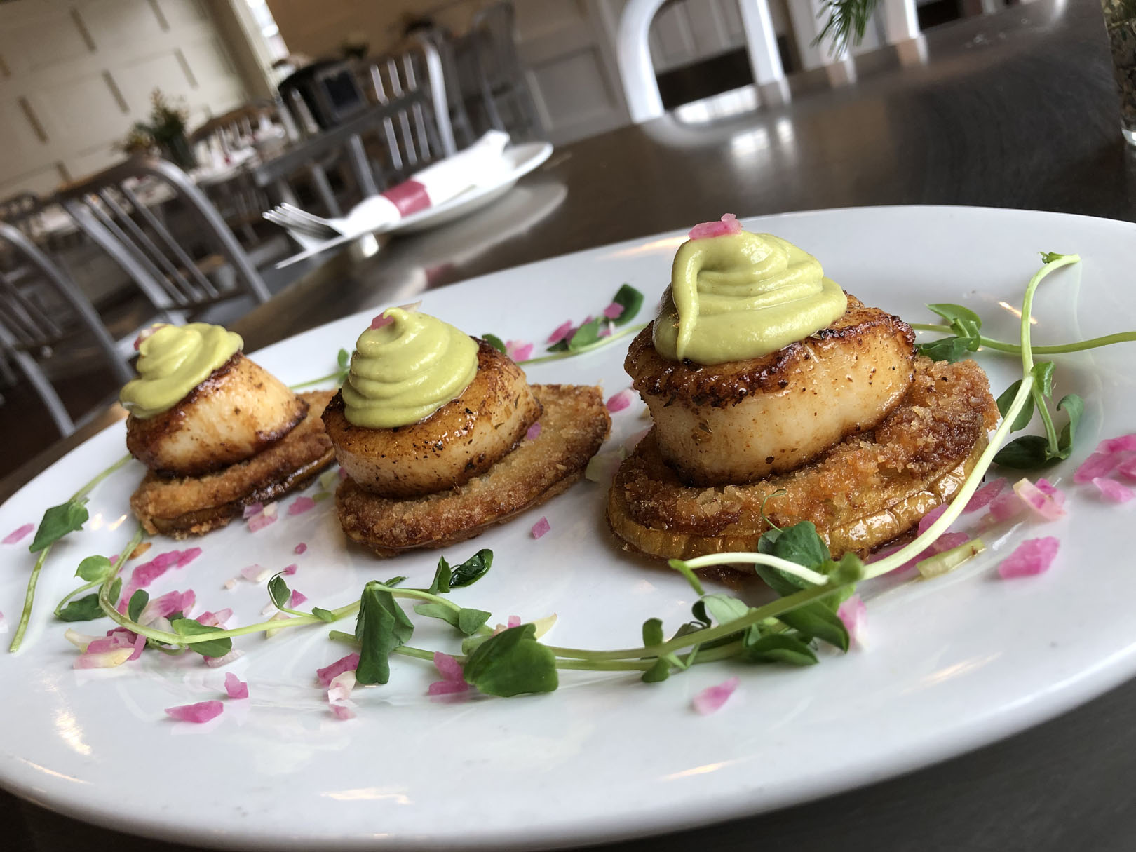 fresh scallops